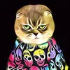 yasoncat