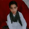 malik.g4134