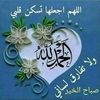 raniasamikhalil