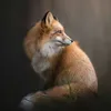 sonja_fox85