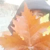 yossiramos