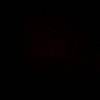 elizabeth__1231