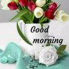 rajpatel0426