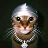 midojaypark