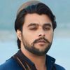 fullcharsi395