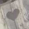molliehatesyouu2