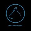 thefocusedk9