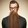 talkingbeards