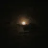 cosmoretrograde