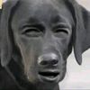 notsc0oter