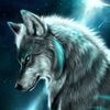alexdavid471