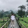indrateguh_
