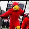 lvillel1c4