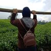 cheuiimm90