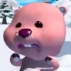 mi_y_chien_bo
