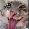 userqw1k2qw0qy