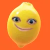 viintrfly_