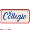 ilcollegioo_