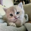 luvliee_