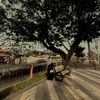 syifaahaeru_journey