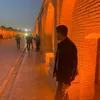 ammar_ham11