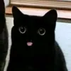 whyxhuh