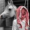 abo13jod