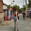 杏