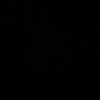 nicolcastillorivera20
