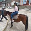 yamelii.1