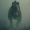 rexrexrexrex01