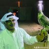 saleh12mm