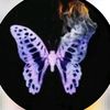 nenhcy_rato