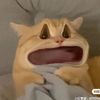 users8lrloercr
