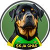 skja_chad