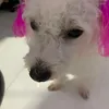 cherrywinsdarlingluv