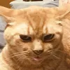 userxklu6dxmk4