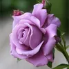 mohammed.r90