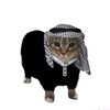 duarduar_7