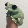 justalittlefroggo