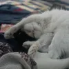 www.tiktok.compqhuy