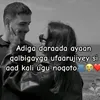 ayma394