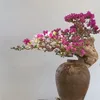 bonsai1199