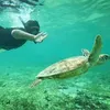 片山亀寿