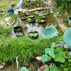 nguyenthanh7894