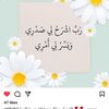 kamern.123