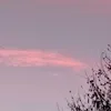 _daavid.cm_