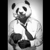 pandacholo.crz