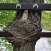 lurkingon