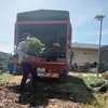 2804123456789nguyenquan